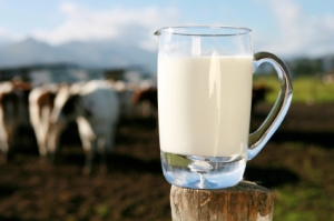 milk pasture